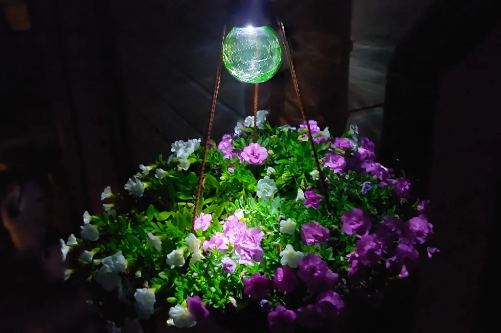 Solar LED Light